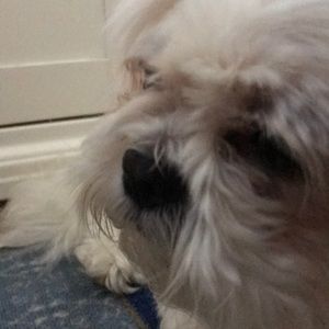 Meet your Posher, Floyd